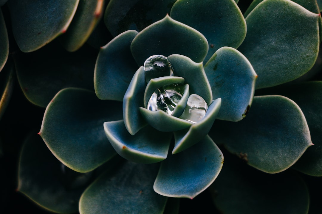 Green Beauty: Eco-Friendly Beauty Routines